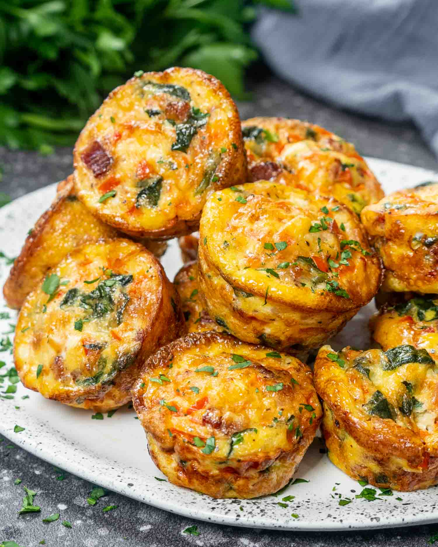Egg Muffins